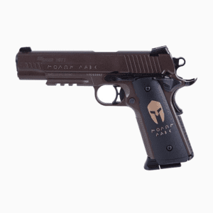 Replica de Co2 Sig sauer 1911 Spartan